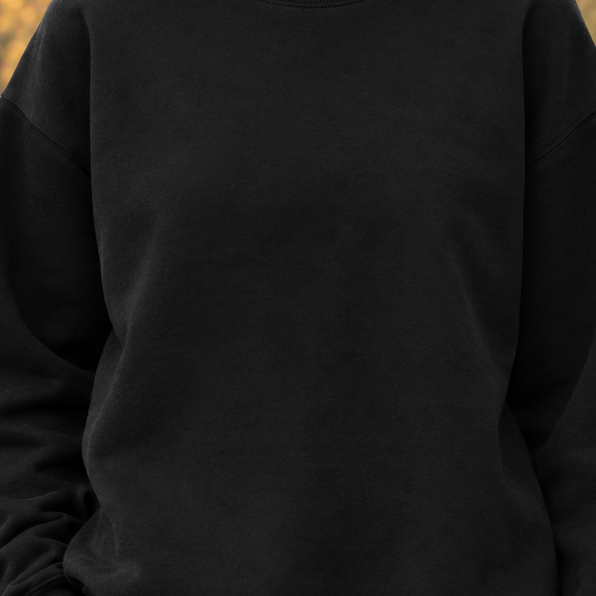 Iolanthe-Skye Crewneck Sweatshirt - Lead Product Detail